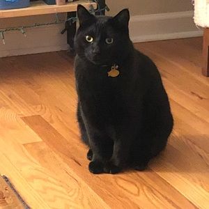 Meet your Posher, Joanna